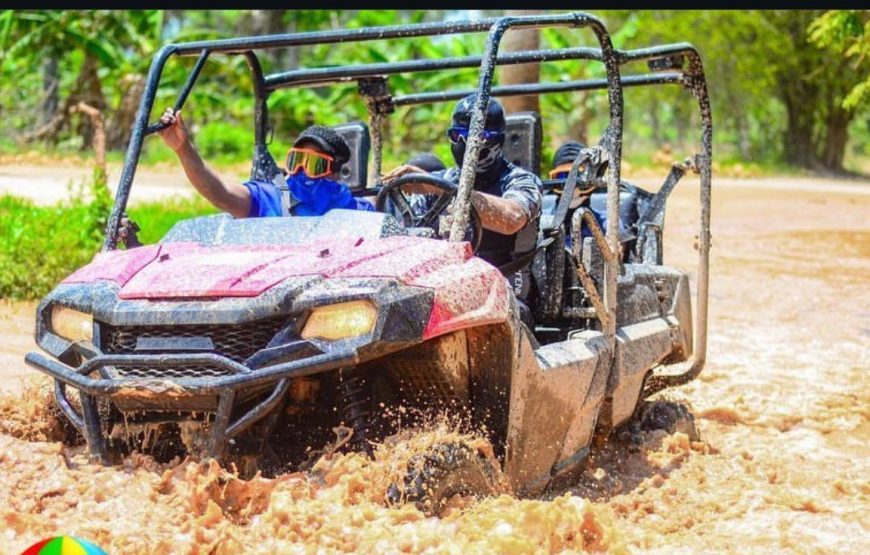 Buggy