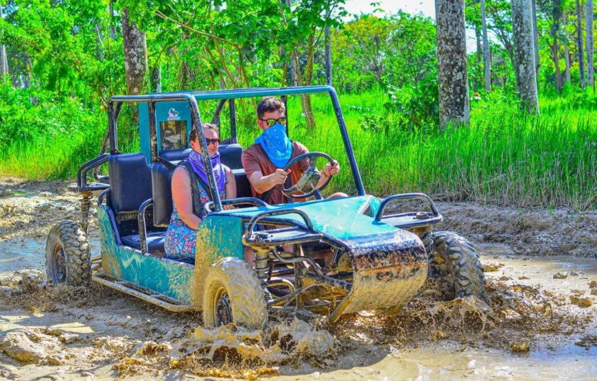 Buggy