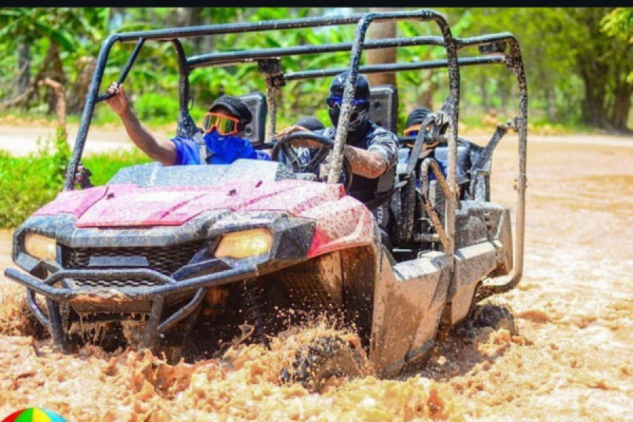 Buggy